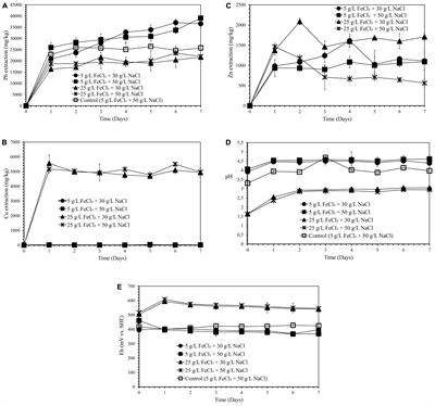 Bioleaching of Indonesian Galena Concentrate With an Iron- and Sulfur-Oxidizing Mixotrophic Bacterium at Room Temperature